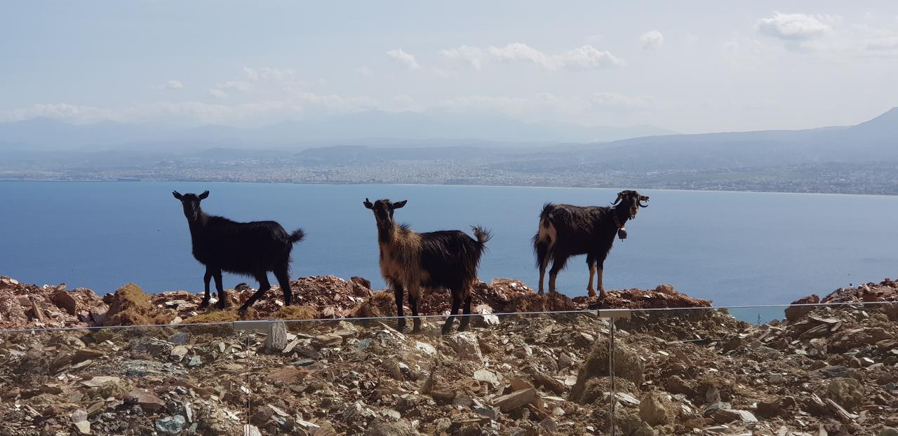 Ocean Villas Complex Agia Pelagia Zewnętrze zdjęcie